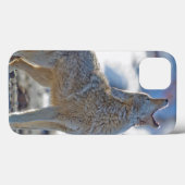 USA, Wyoming, Yellowstone National Park, Coyote Case-Mate iPhone Hülle (Rückseite (Horizontal))