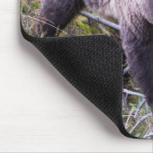 USA, Wyoming, Yellowstone National Park, Grizzy 1 Mousepad (Ecke)