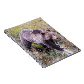 USA, Wyoming, Yellowstone National Park, Grizzy 1 Notizblock (Rechte Seite)