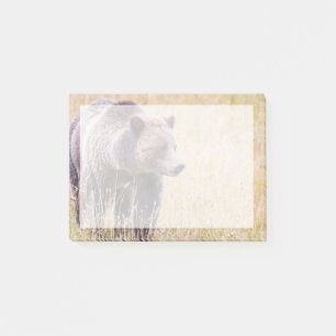 USA, Wyoming, Yellowstone National Park, Grizzy 3 Post-it Klebezettel