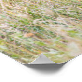 USA, Wyoming, Yellowstone National Park, Grizzy 3 Poster (Ecke)