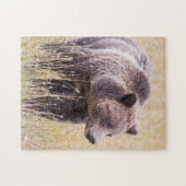 USA, Wyoming, Yellowstone National Park, Grizzy 3 Puzzle (Horizontal)