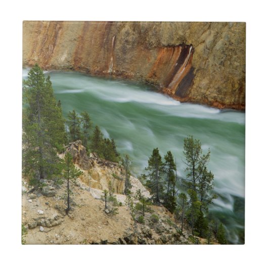 USA, Wyoming, Yellowstone Nationalpark Fliese (Vorderseite)