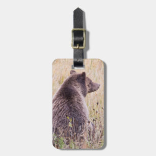 USA, Wyoming, Yellowstone-Nationalpark, Grizzly 2 Gepäckanhänger