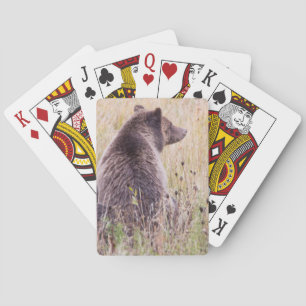 USA, Wyoming, Yellowstone-Nationalpark, Grizzly 2 Spielkarten