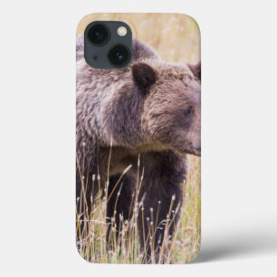 USA, Wyoming, Yellowstone-Nationalpark, Grizzly 3 Case-Mate iPhone Hülle