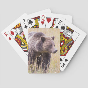 USA, Wyoming, Yellowstone-Nationalpark, Grizzly 3 Spielkarten