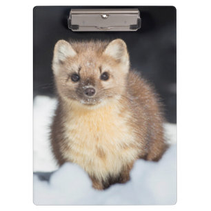 USA, Wyoming, Yellowstone Nationalpark Klemmbrett