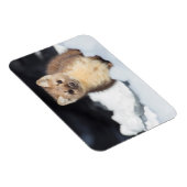 USA, Wyoming, Yellowstone Nationalpark Magnet (Rechte Seite)