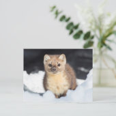 USA, Wyoming, Yellowstone Nationalpark Postkarte (Stehend Vorderseite)