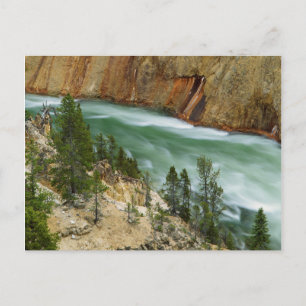 USA, Wyoming, Yellowstone Nationalpark Postkarte