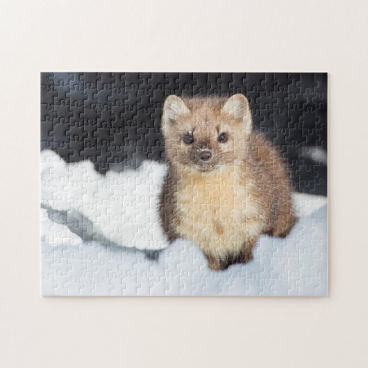 USA, Wyoming, Yellowstone Nationalpark Puzzle (Horizontal)