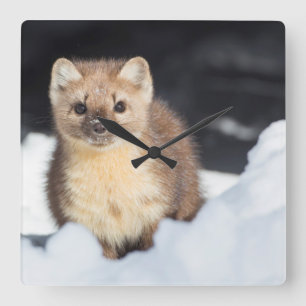 USA, Wyoming, Yellowstone-Nationalpark Quadratische Wanduhr