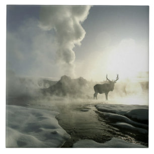 USA, Wyoming, Yellowstone-Nationalpark. Sonnenaufg Fliese