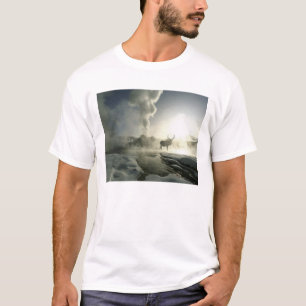 USA, Wyoming, Yellowstone-Nationalpark. Sonnenaufg T-Shirt