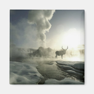 USA, Wyoming, Yellowstone Nationalpark. Sunrise Magnet