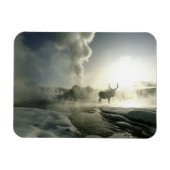 USA, Wyoming, Yellowstone Nationalpark. Sunrise Magnet (Horizontal)