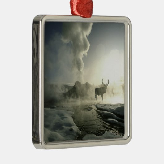 USA, Wyoming, Yellowstone Nationalpark. Sunrise Silbernes Ornament (Rechts)