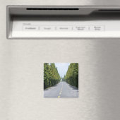 USA, Yellowstone Nationalpark, Treelined road Magnet (In Situ (Geschirrspüler))