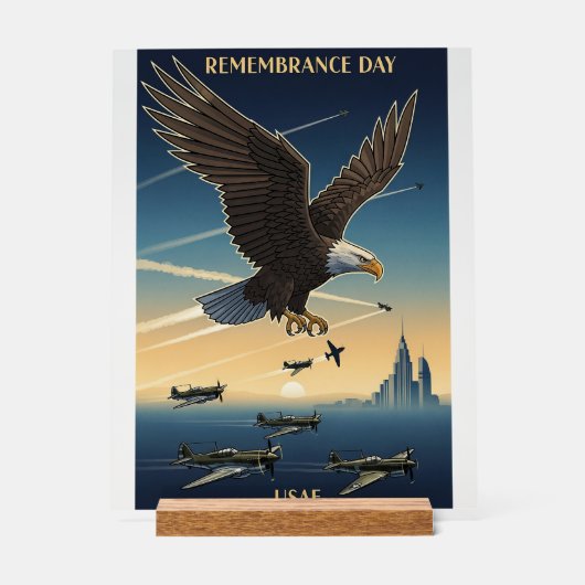 USAF Art Deco Acrylschild (Vorderseite)