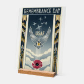 USAF Art Deco Acrylschild (Winkel)