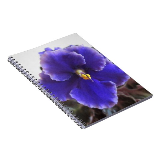 Usambaraveilchen-Blühen Notizblock (Rechte Seite)