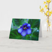 Usambaraveilchen Karte (Gelbe Blume)