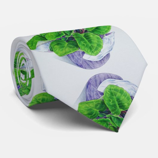 Usambaraveilchen Krawatte (Gerollt)