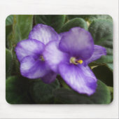 Usambaraveilchen Mousepad (Vorne)