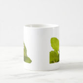 Usambaraveilchen - Saintpaulia ionantha Kaffeetasse (Mittel)