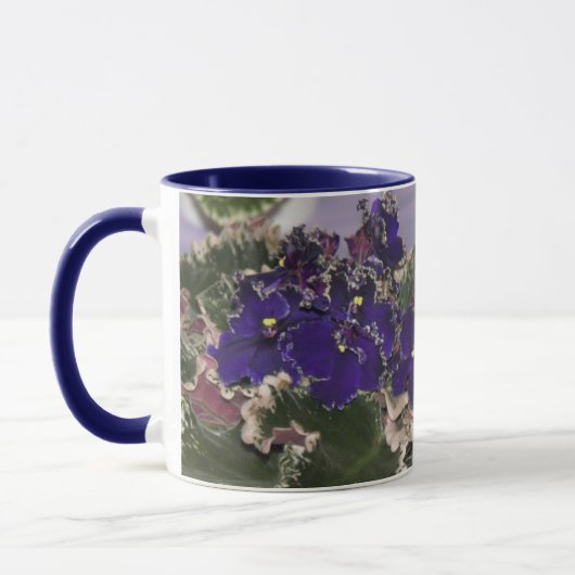 Usambaraveilchen-Tasse Tasse (Links)