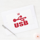 USB（赤） RECHTECKIGER AUFKLEBER (Umschlag)