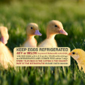 USDA Eierkarton - Sicherheits- und Lagervorschrift