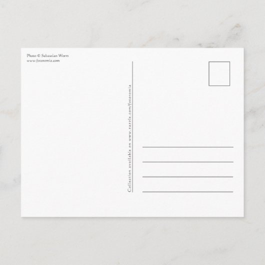 Usedom Postkarte (Rückseite)