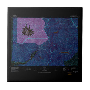 USGS Topo Map Washington Staat WA Mount Rainier 24 Fliese
