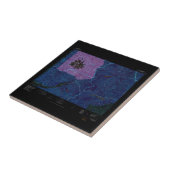 USGS Topo Map Washington Staat WA Mount Rainier 24 Fliese (Seite)