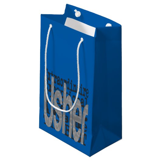 Usher Extraordinaire Kleine Geschenktüte (Vorderseite Schrägansicht)