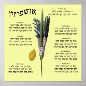 Ushpizin & Arba Minim (4 Arten) Poster (Vorne)