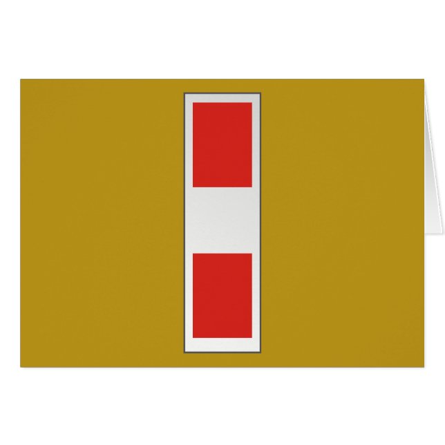 USMC CWO3 Chief Warcraft Officer 3 W-3 (Vorderseite (Horizontal))