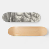 USS Constitution Skateboard (Horizontal)