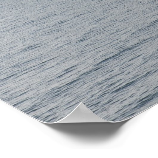 USS Mount Whitney (LCC 20) Poster (Ecke)