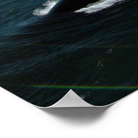 USS Topeka (SSN 754) Poster (Ecke)