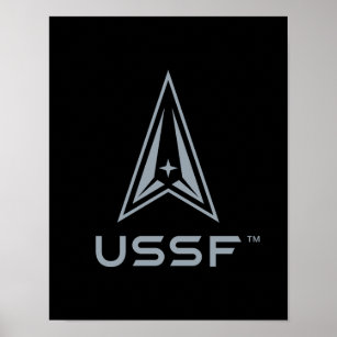 USSF   United Staaten Space Force Poster