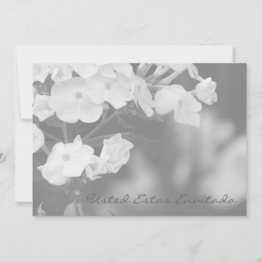 Usted estas envitado (Vorderseite)