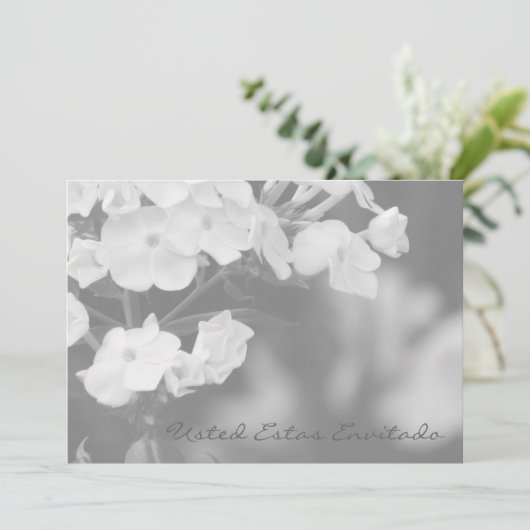 Usted estas envitado (Stehend Vorderseite)