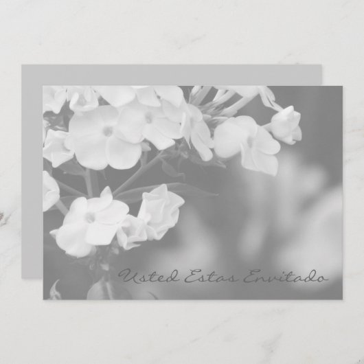 Usted estas envitado (Vorne/Hinten)