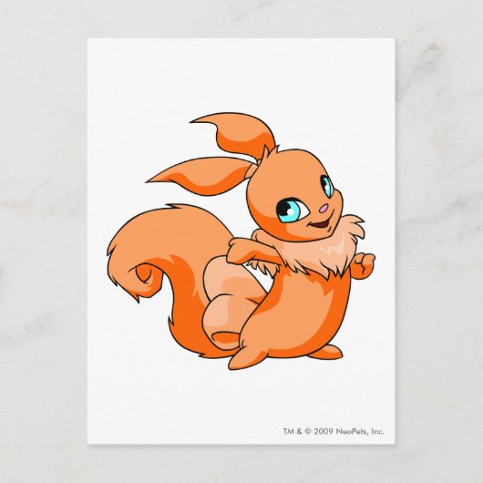 Usul Orange Postkarte (Vorderseite)