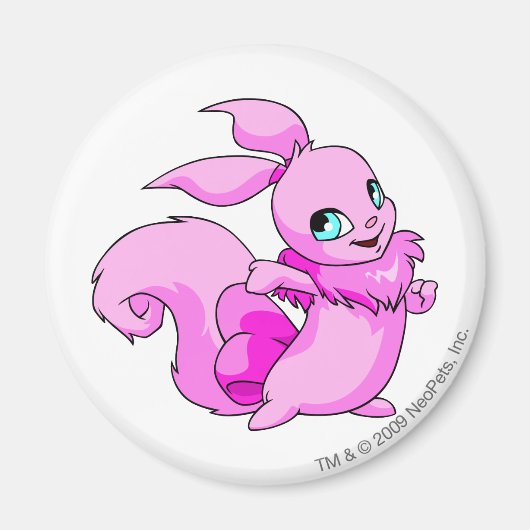 Usul Pink Magnet (Vorne)