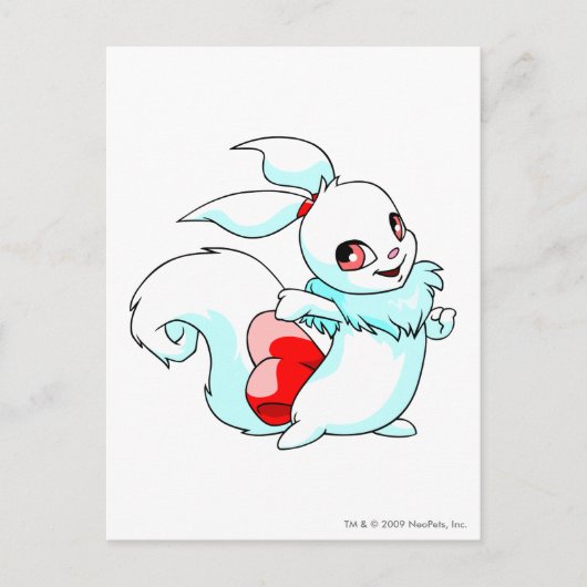 Usul White Postkarte (Vorderseite)