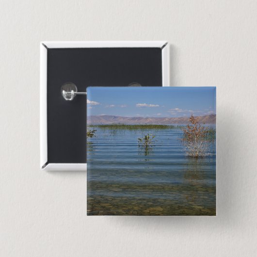 UT, Bärensee Button (Vorne & Hinten)